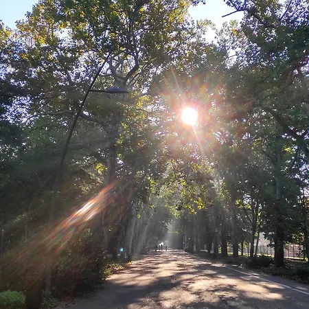 Synagoge View Loft Bestern Lägenhet *