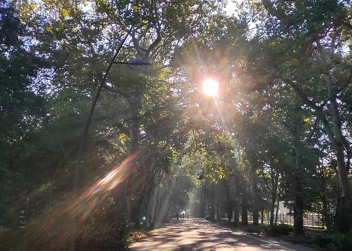 Synagoge View Loft Bestern Apartament *